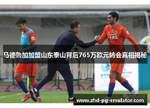 马德鲁加加盟山东泰山背后765万欧元转会真相揭秘