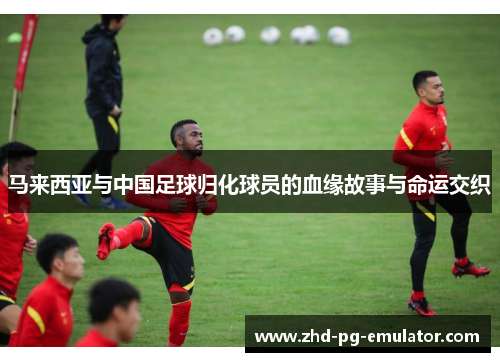 马来西亚与中国足球归化球员的血缘故事与命运交织